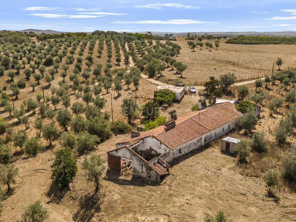 HERDADE COM 5,9 HECTARES, MORADIA E CAVALARIÇA | SANTIAGO DO ESCOURAL - Image 6