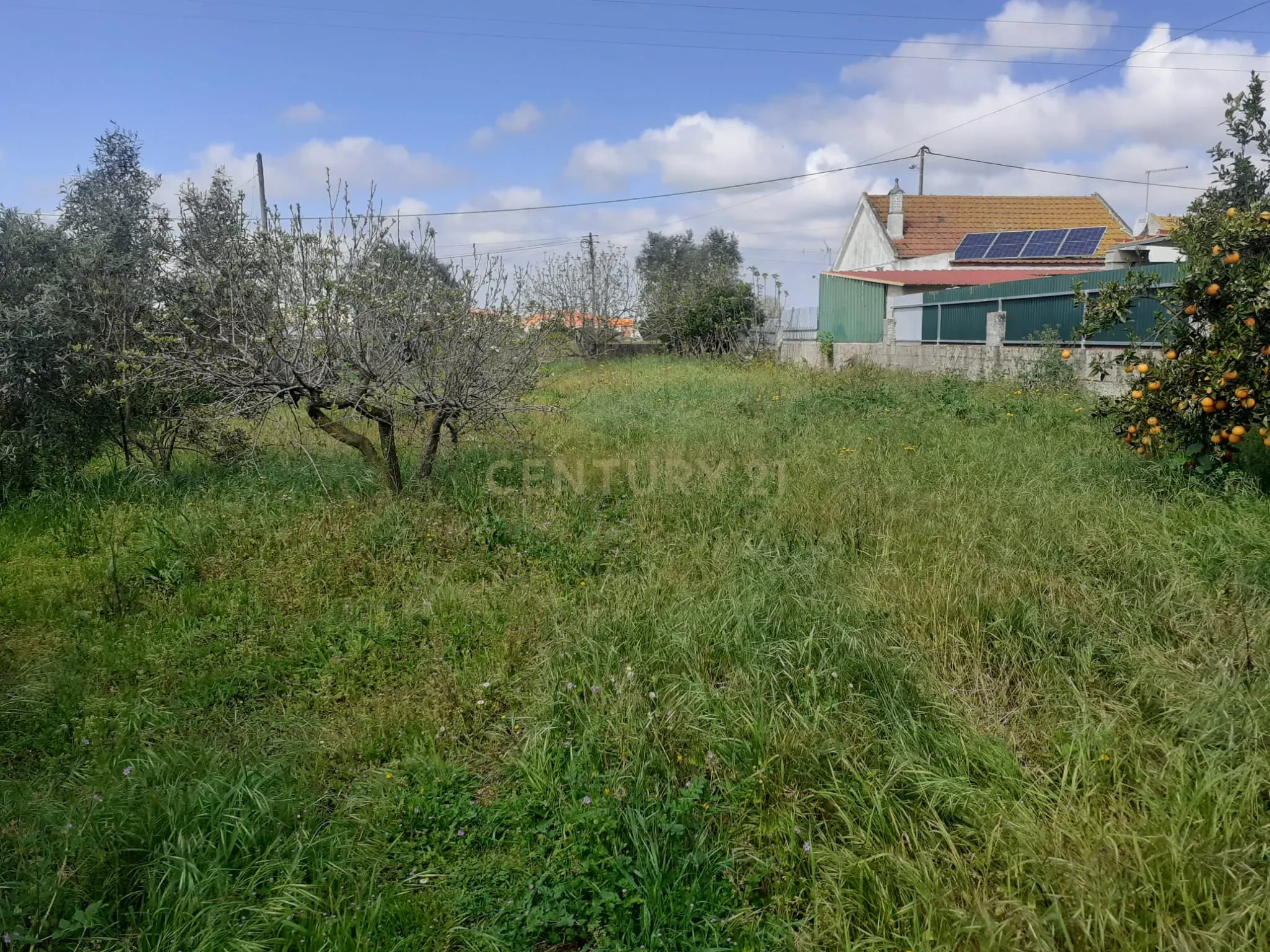 Terreno para Construção – Na Freguesia de Santo Isidro de Pegões | 629 m² - Vista 5