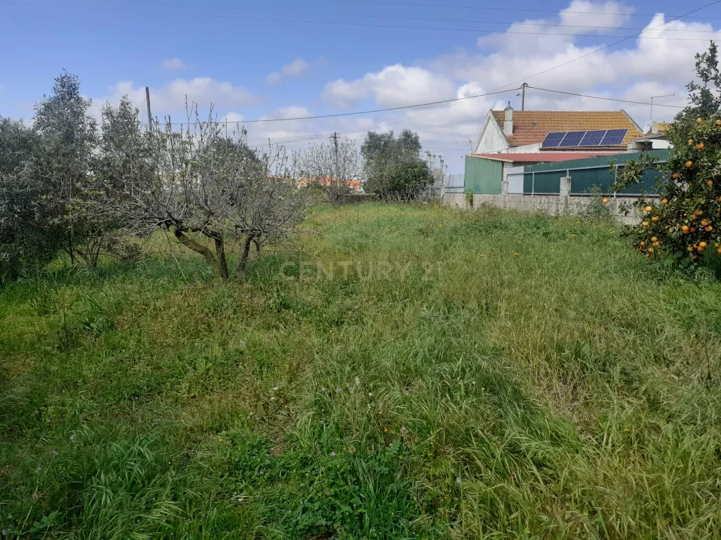 Terreno para Construção – Na Freguesia de Santo Isidro de Pegões | 629 m² - Image 5
