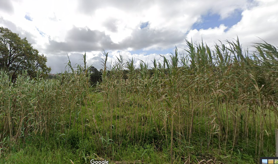 Terreno com 3.083 m² e viabilidade para construção de 2 moradias - Image 10