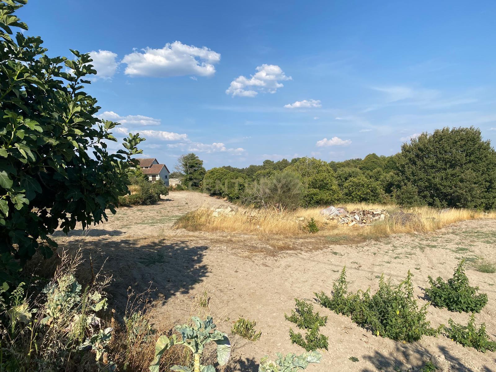 Fotografia 6 de Terreno para construção em Bobadela -  Chaves