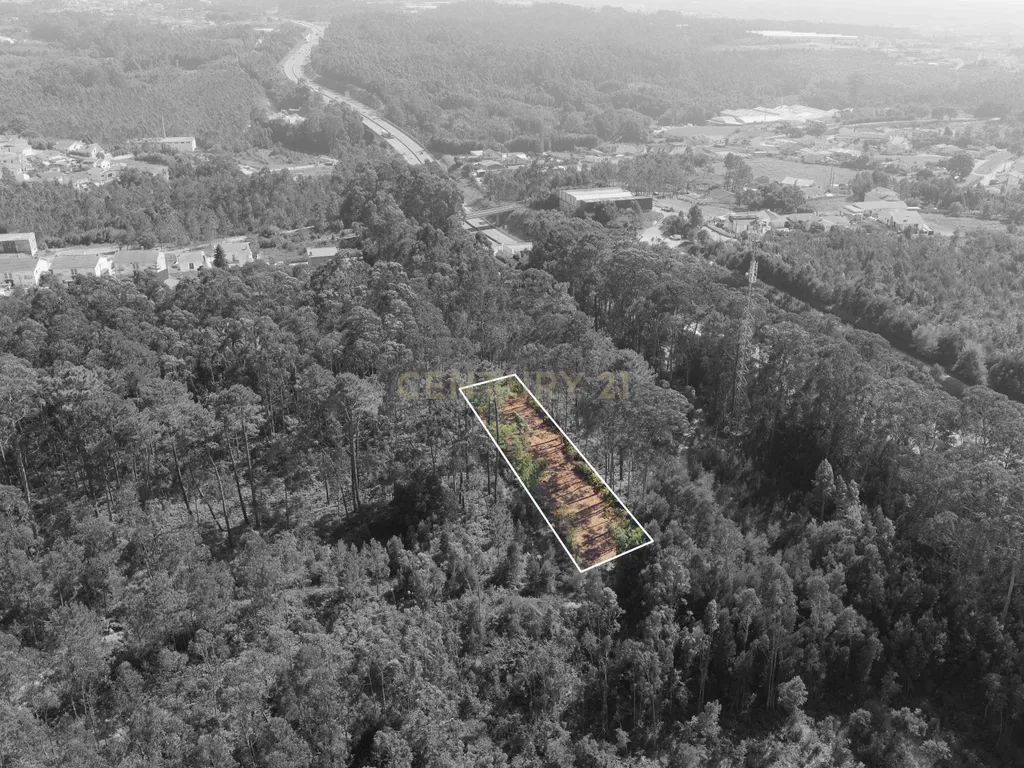 Terreno Espetacular em Aveiro, 1200m² por 15500€ - Image 6