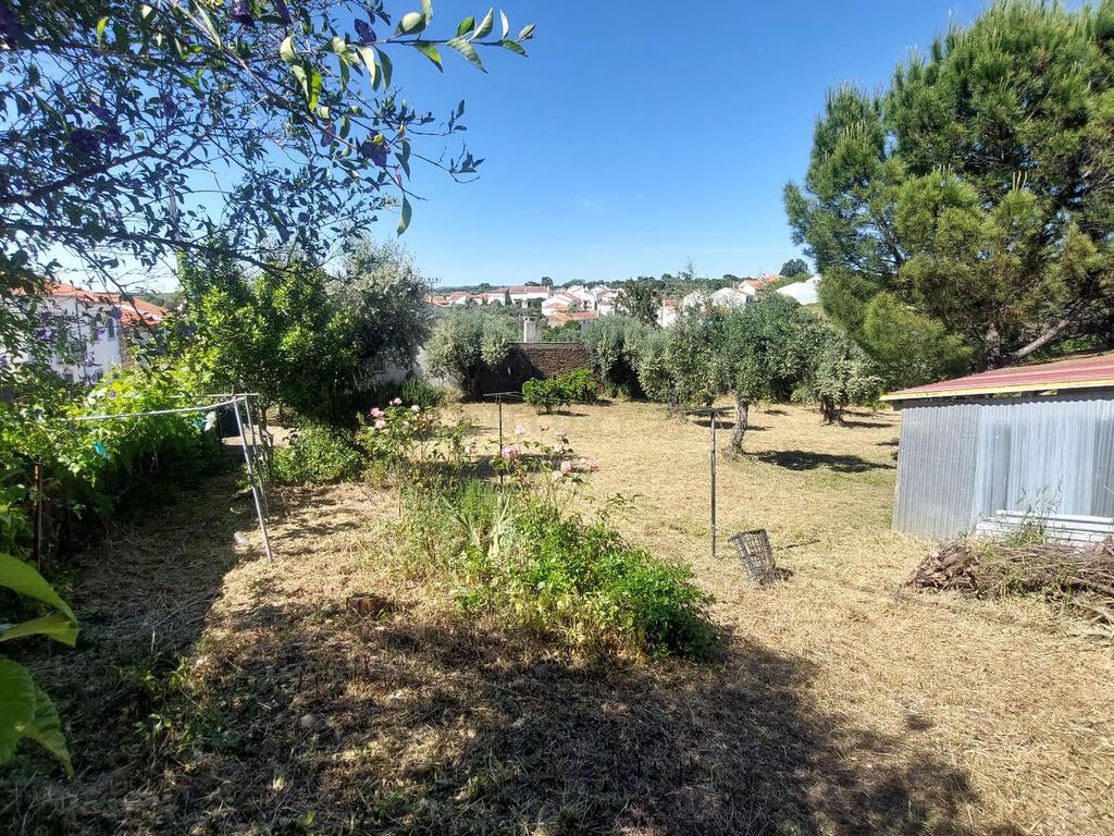 Terreno em Alcafozes, Idanha a Nova com Vista e Árvores de Fruto - Image 15