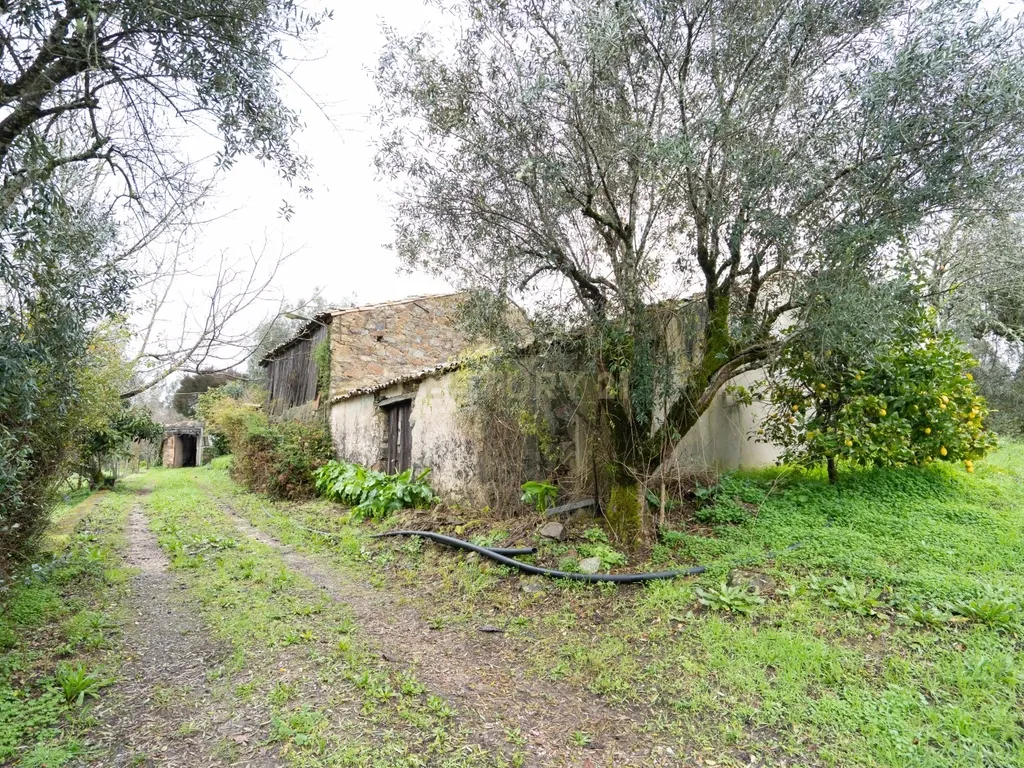 Quinta T5 em Poiares, Vila Nova de Poiares - Oportunidade Única - Image 14