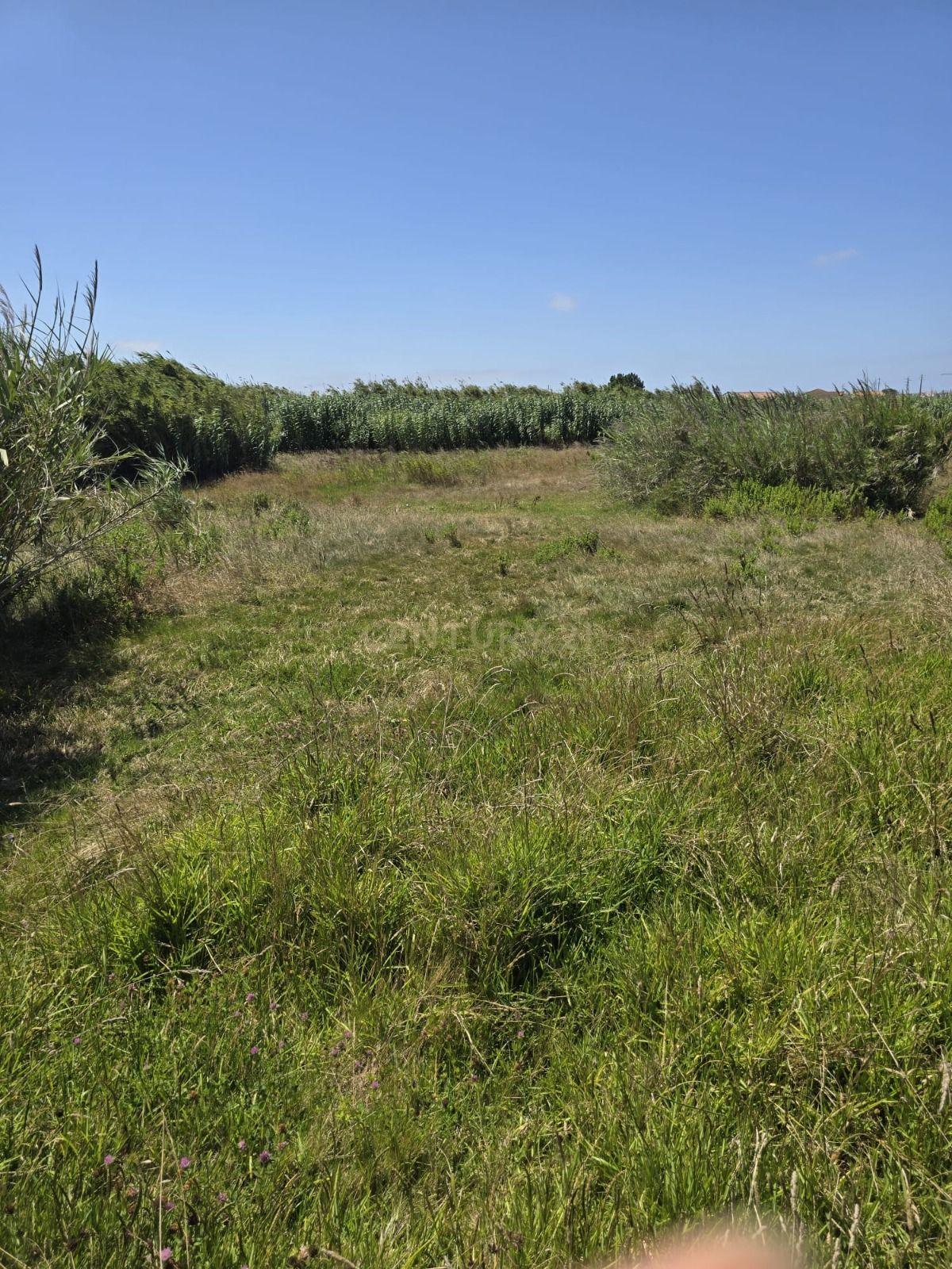 Fotografia 4 de Terreno de 2.880 m² no Arneiro - Oportunidade no Coração do Oeste