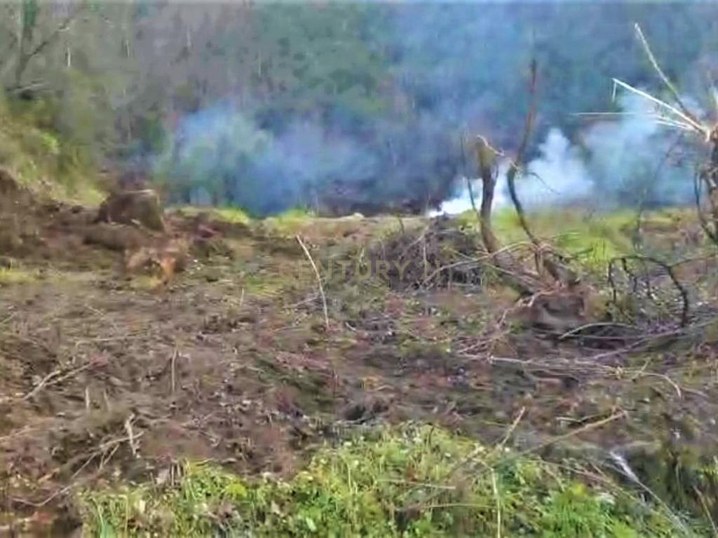 Quinta com moradia em Gondar, perto da Amarante, Porto à face da estrada com muito terreno e água - Image 38