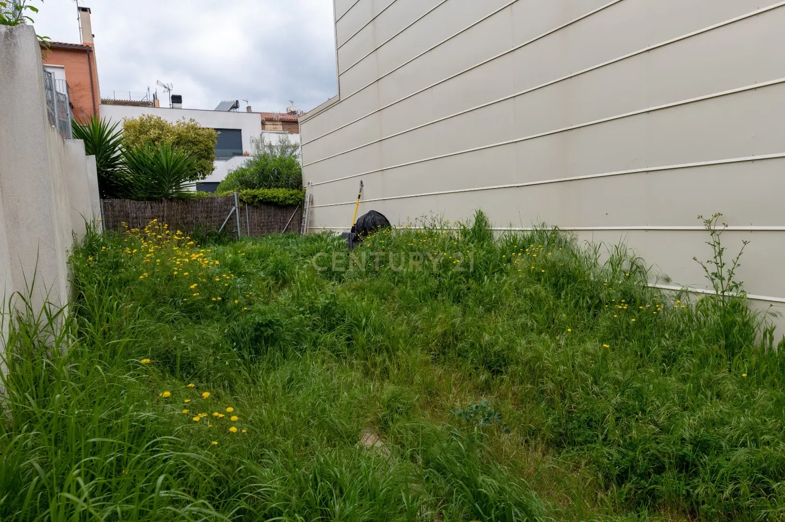 - Image 5