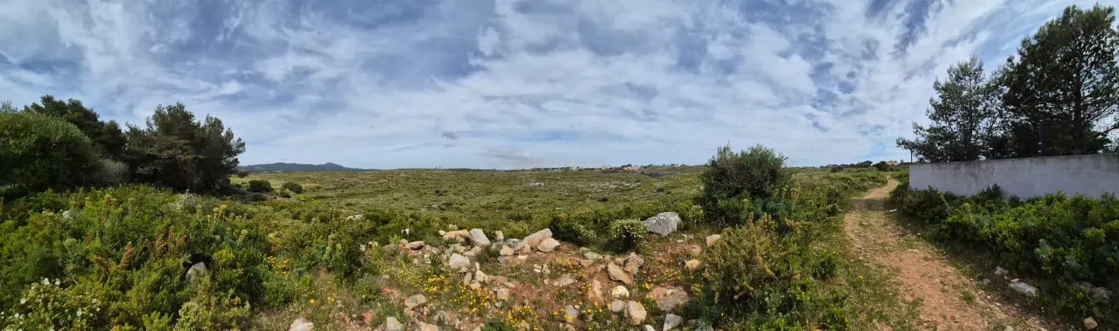 Fotografia 6 de Terreno Rústico com 20.000 m² em Murches, Cascais – Vista Serra de Sintra e Potencial Construção