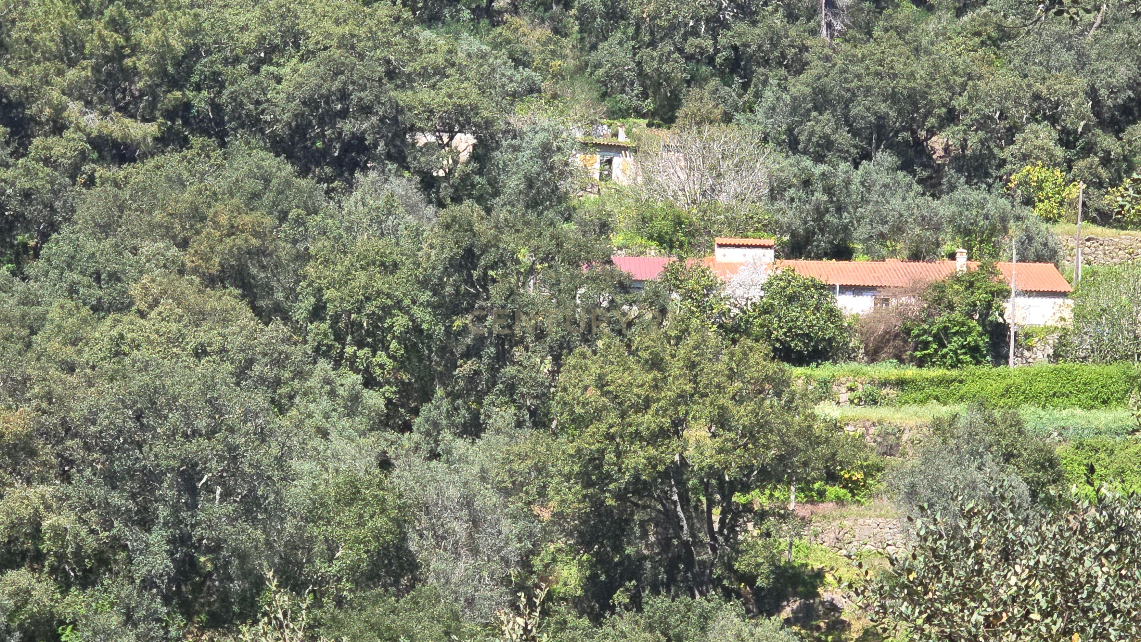 Fotografia 9 de Encantadora Propriedade Rural com Grande Potencial em Monchique