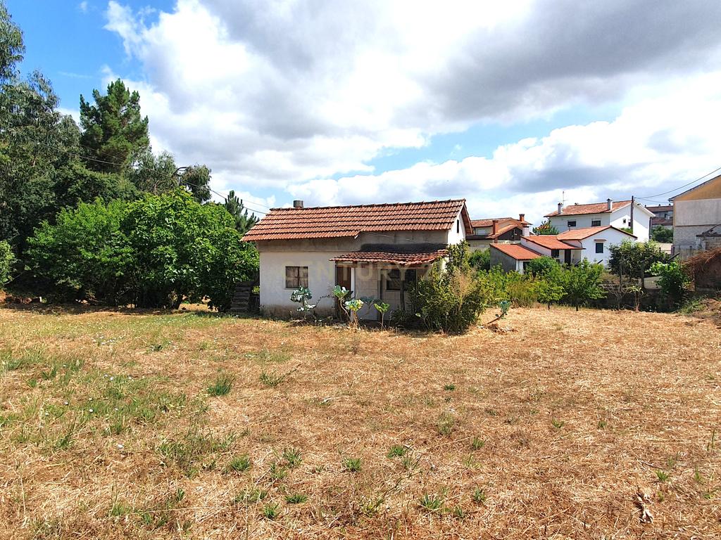 Moradia Isolada I Terreno I São Martinho do Bispo - Image 11