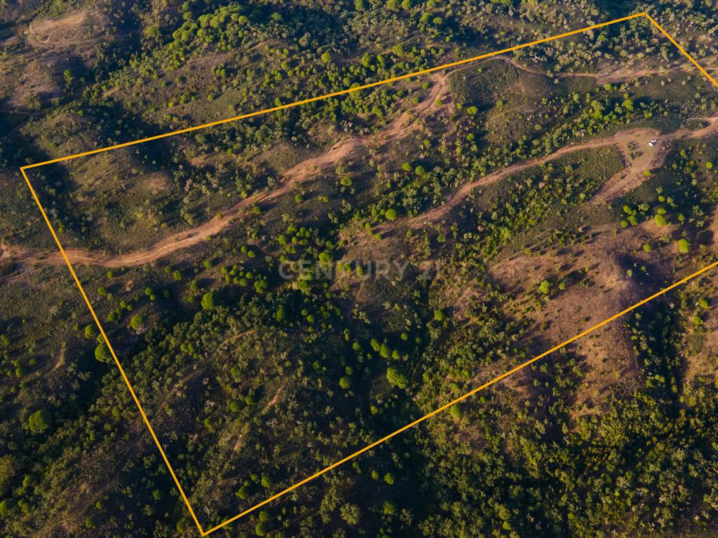 Terreno único com vista mar e elevado potencial para Hotel Rural na Costa Alentejana - Santiago do Cacém - Image 8