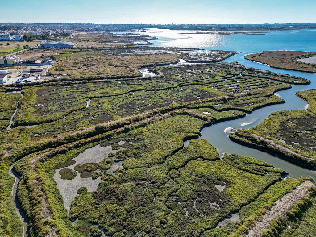 Terreno 20,18ha, Montijo - Seixalinho, para actividades de piscicultura e agricultura - Image 33