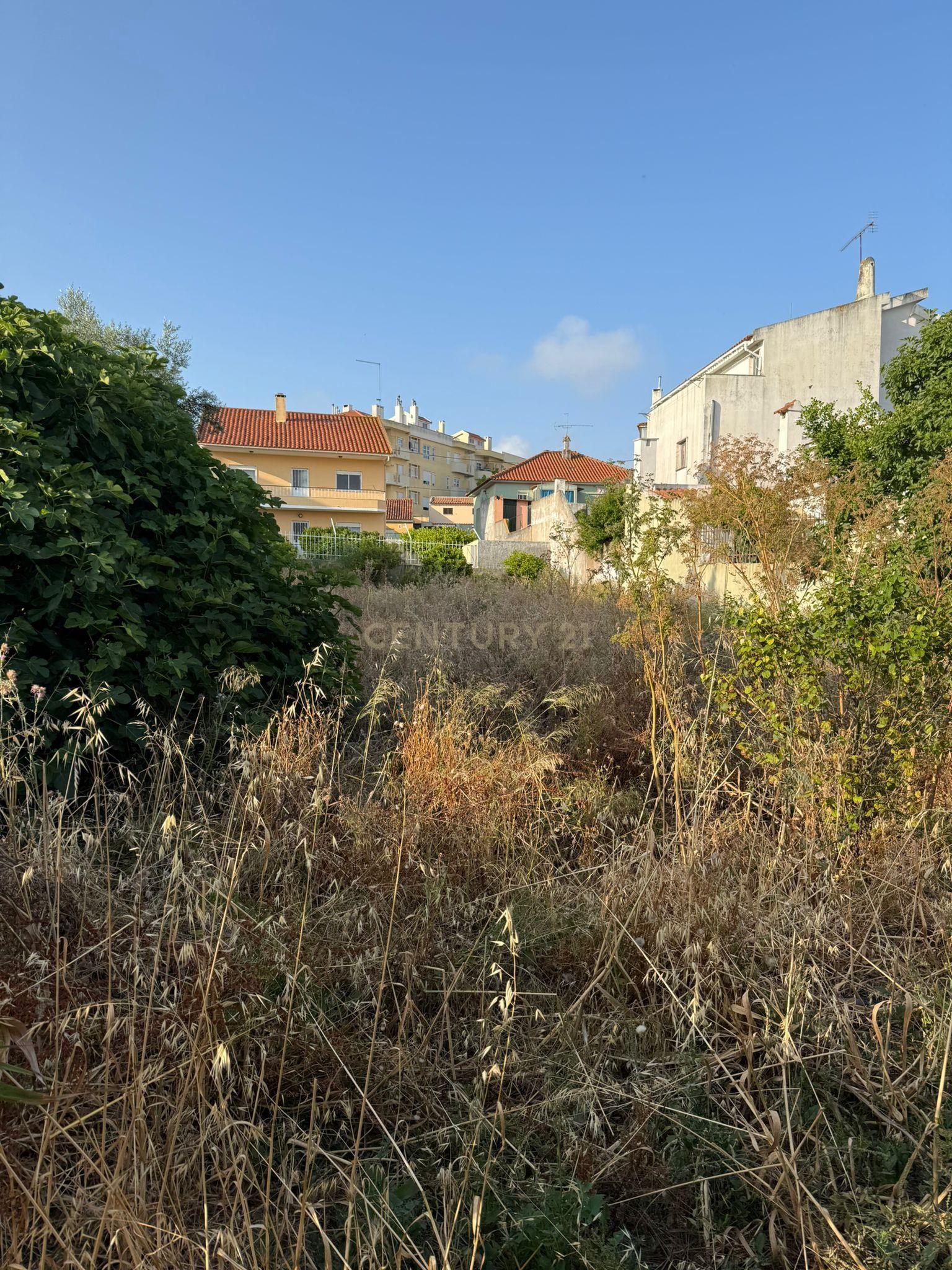 Terreno com Projeto para duas moradias - Cascais - Image 5