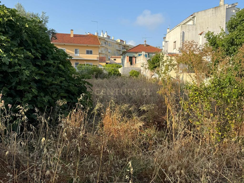 Terreno com Projeto para duas moradias  - Cascais - Image 5