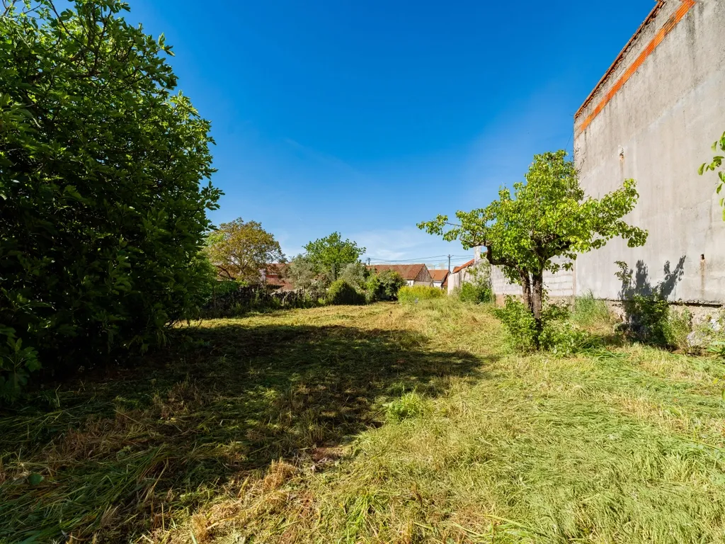Moradia Térrea com Excelente Potencial 2.116 m2 de terreno Localização Priviligiada - Image 22