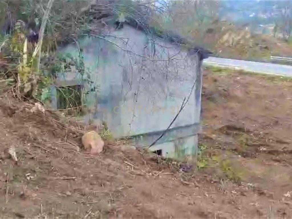 Quinta com moradia em Gondar, perto da Amarante, Porto à face da estrada com muito terreno e água - Image 40