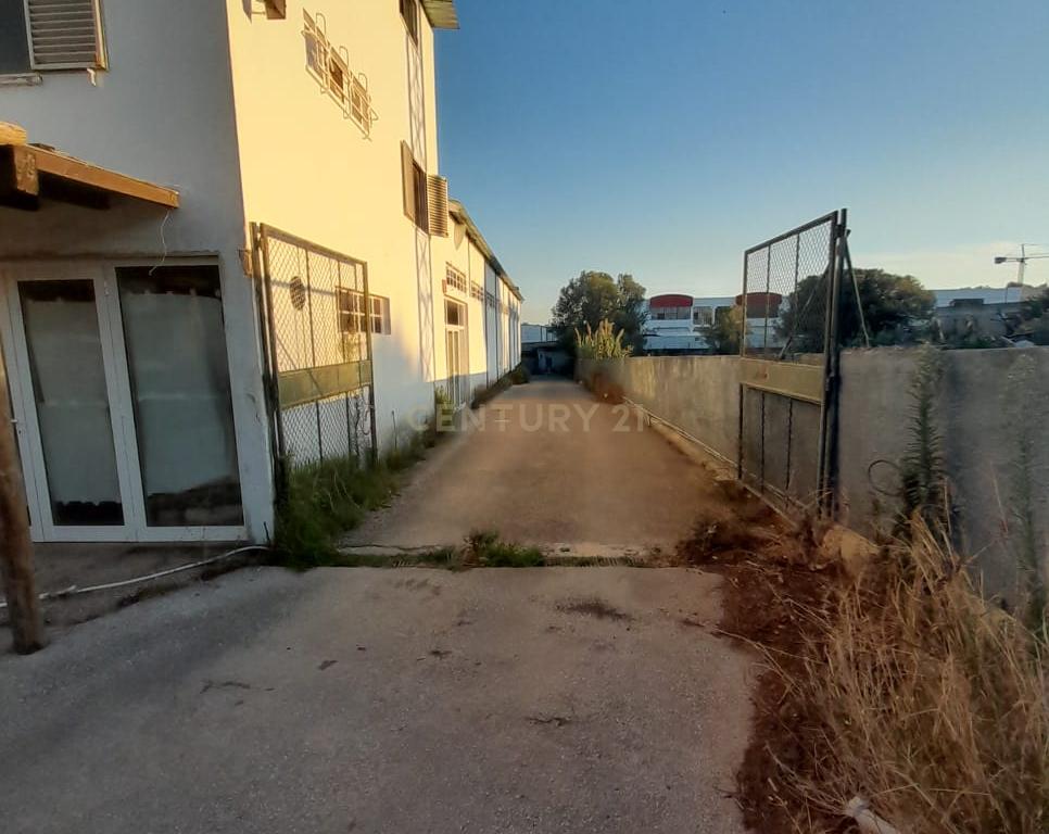 Armazéns – Parque Industrial da Adroana | Excelente Localização e Potencial Multifunções - Image 2