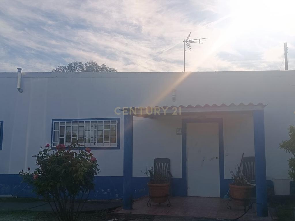 Excelente terreno em Santa Eulália Elvas - Image 19