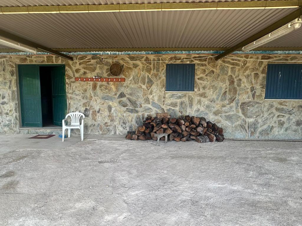 Fantástica Quinta, 5.3ha- Zebreira, Idanha-a-nova - Image 1