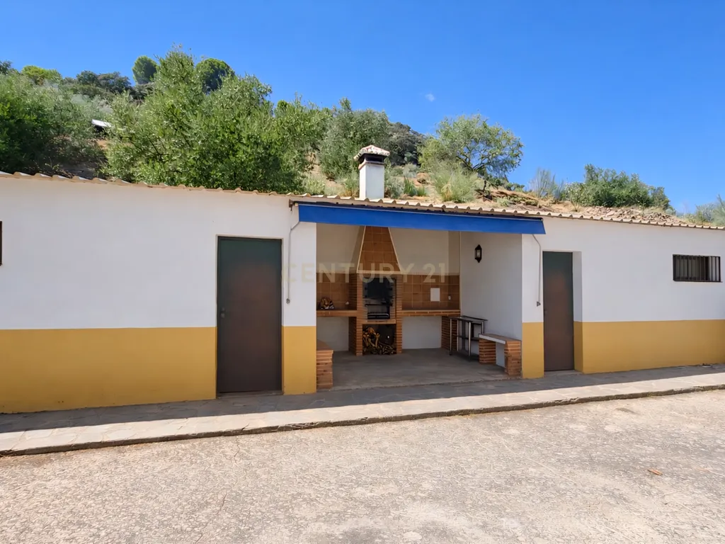 Quinta com vistas panorâmicas em Ronda, piscina privada, olival em produção e casa andaluza · Ideal para investimento em turismo rural - Image 26