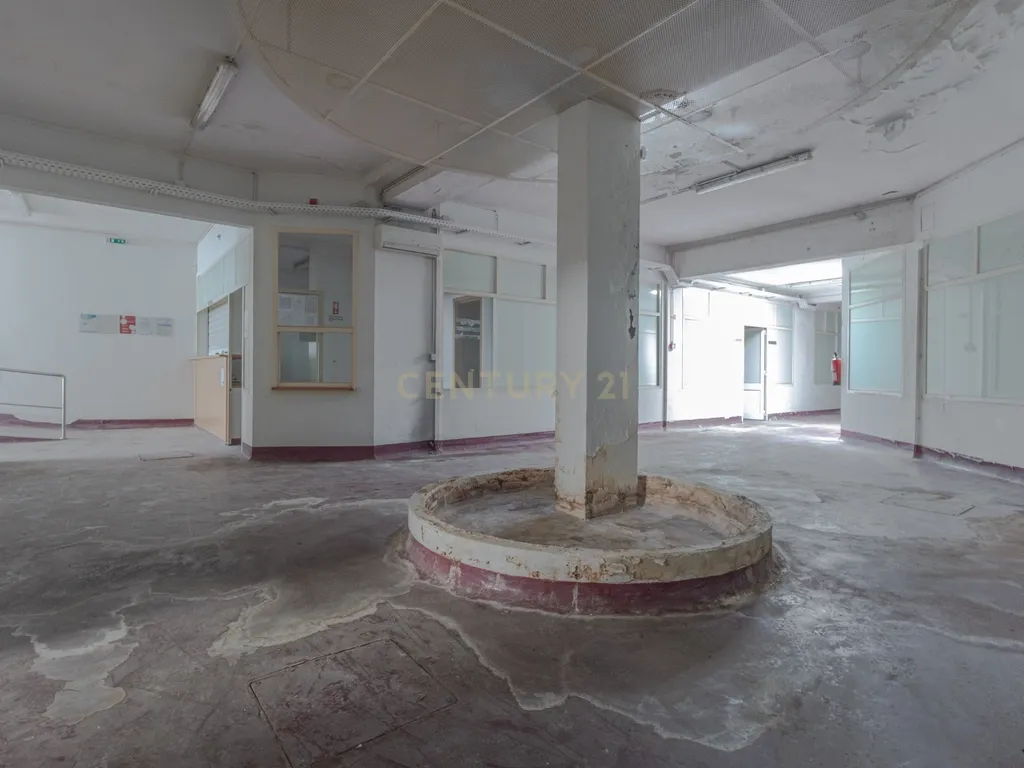 Ativo Comercial Multiuso com 494 m² | Clínica, Showroom, Self-Storage, Formação ou Operação Empresarial - Image 3