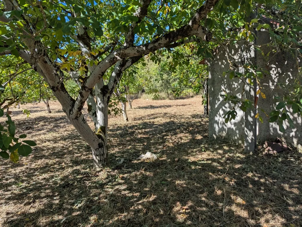 Terreno Viabilidade Construção em Espinhal, Penela – Excelente Oportunidade de Investimento - Image 8