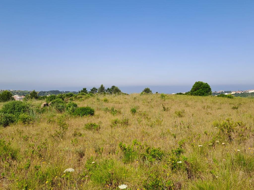Terreno Rústico com Vista Panorâmica – Forte do Zambujal, Mafra - Image 4