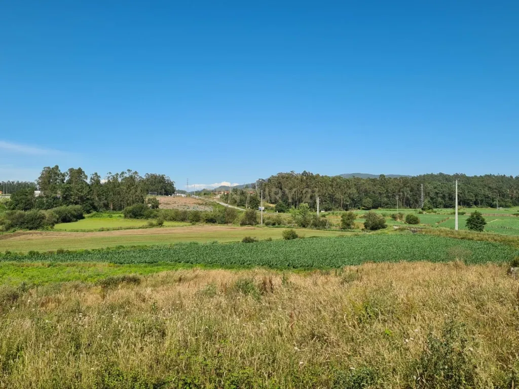 Terreno com Pavilhão Industrial em Barqueiros - Image 15