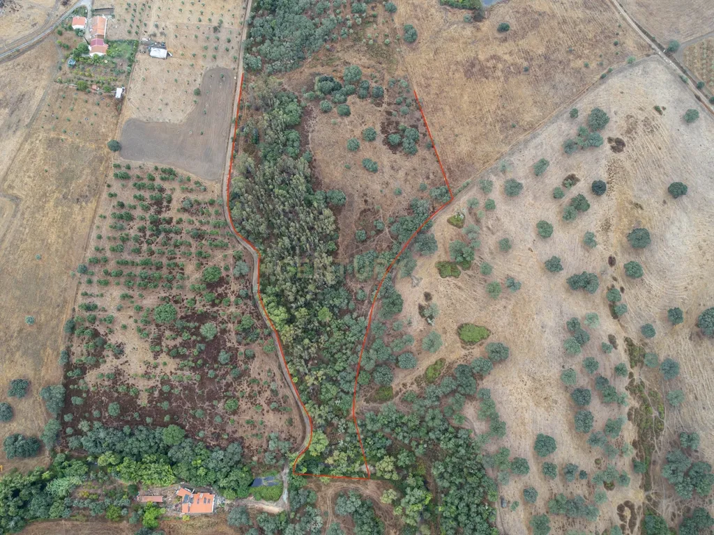 HERDADE COM 5,9 HECTARES, MORADIA E CAVALARIÇA | SANTIAGO DO ESCOURAL - Image 11