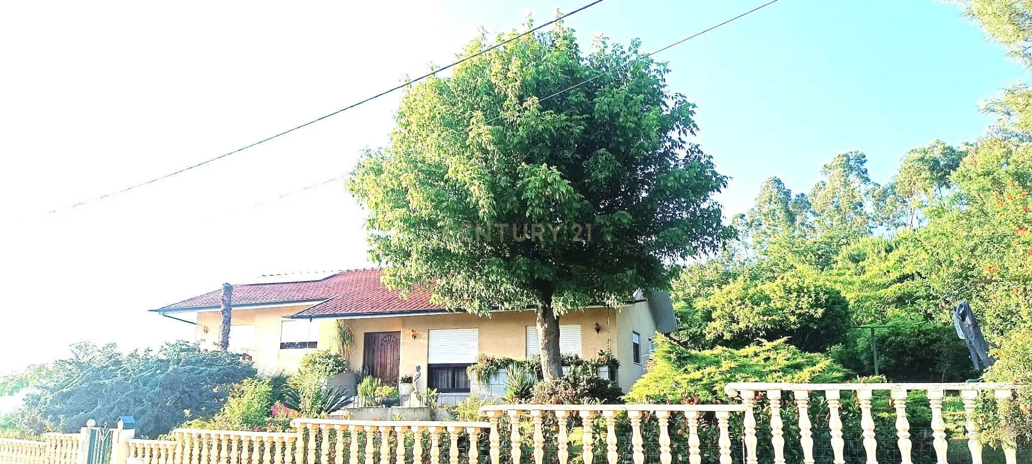 Fotografia 9 de Grande moradia térrea, em Santo Tirso com área de lazer, anexo, jardim e terreno agrícola, Porto