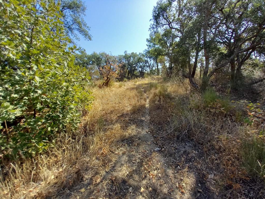 Terreno com 2180m2 , São Vicente da Beira, Castelo Branco - Image 6