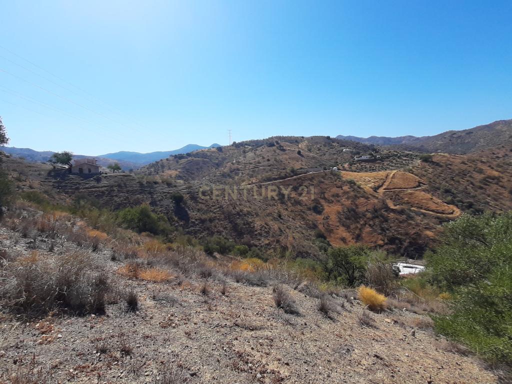 QUINTA RÚSTICA COM 11.000 m² DE TERRENO, PRIVACIDADE E VISTAS PANORÂMICAS EM ÁLORA - Image 30