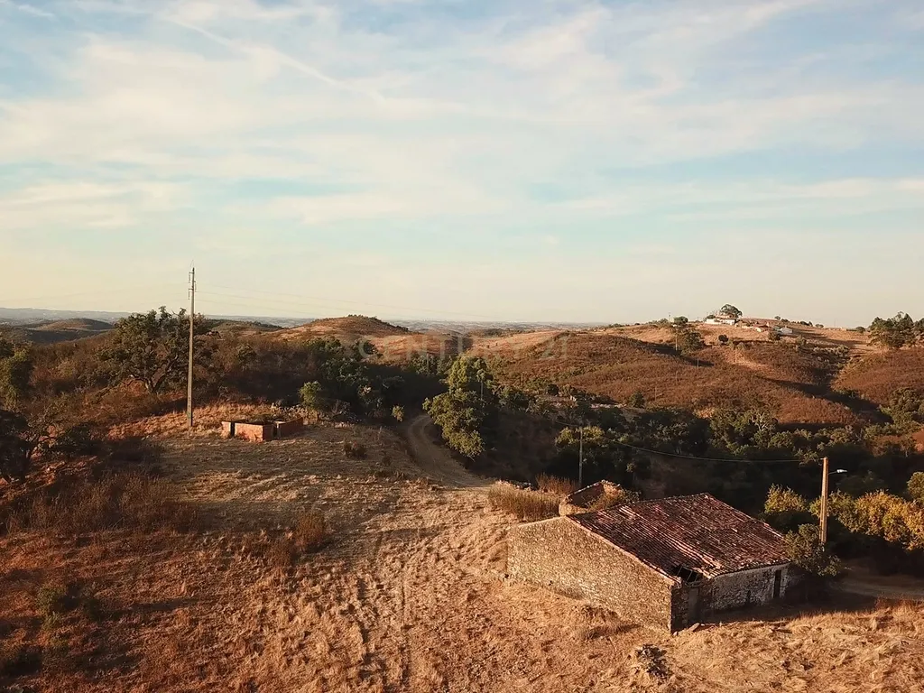 Propriedade com 18 hectares - Um Refúgio de Terra, Tradição e Tranquilidade em Santana da Serra - Image 5