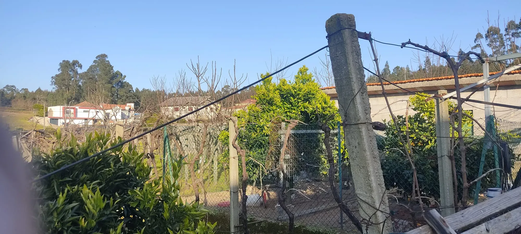 Fotografia 7 de Terreno em Valpedre, Penafiel - 750m²