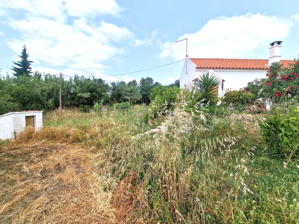 Monte/Terreno em Santiago do Cacém, com Vista Campestre e Árvores Frutíferas - Image 30