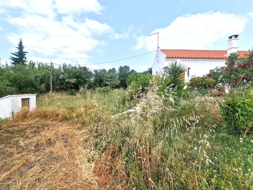 Monte/Terreno em Santiago do Cacém, com Vista Campestre e Árvores Frutíferas - Image 30