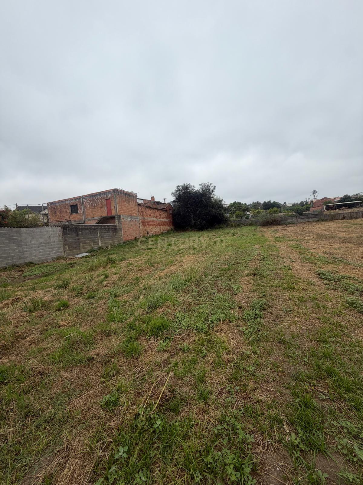 Fotografia 7 de Terreno à venda em Colmeias, Leiria - 990m²