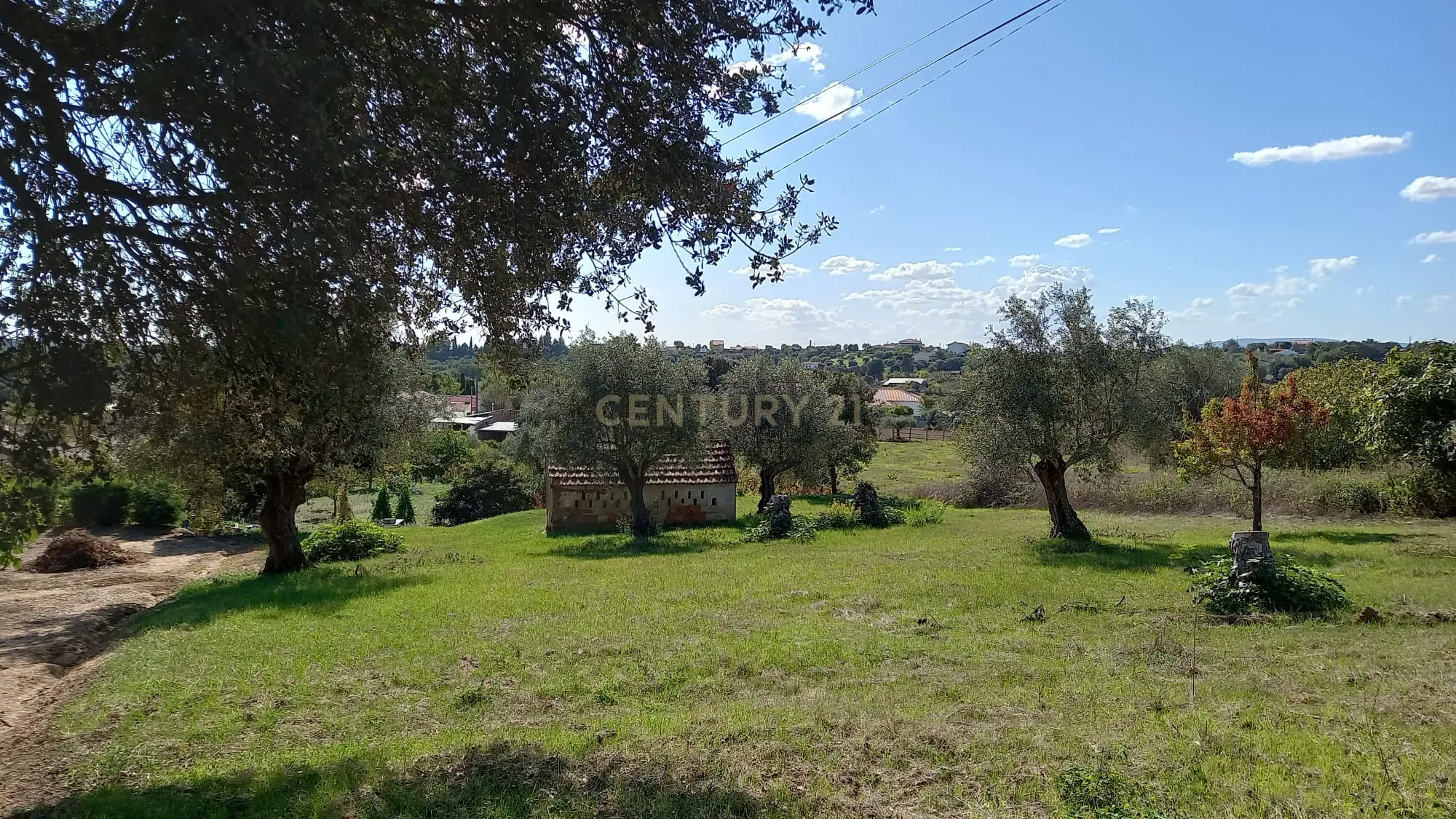 Terreno em Madalena e Beselga | Tomar - Local Calmo e Iluminação Natural