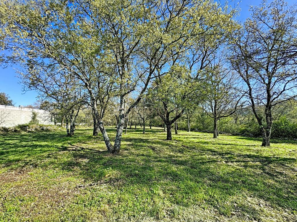 O lugar ideal para construir em plena natureza – Alcobaça - Image 27