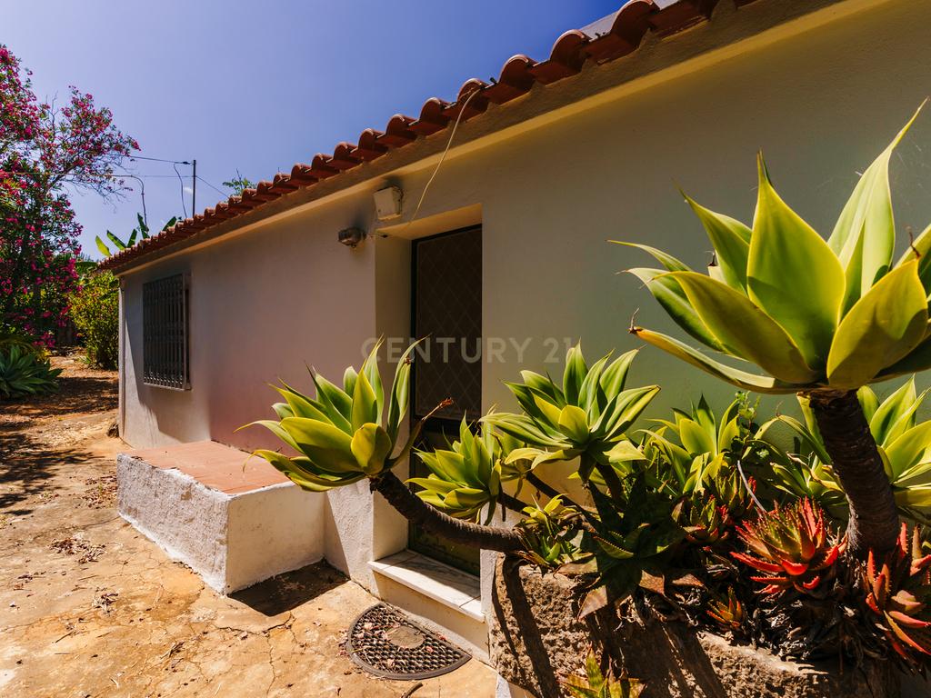 Quinta com 8660 m2 com Moradia, piscina e dois terraços panorâmicos em Silves - Image 25