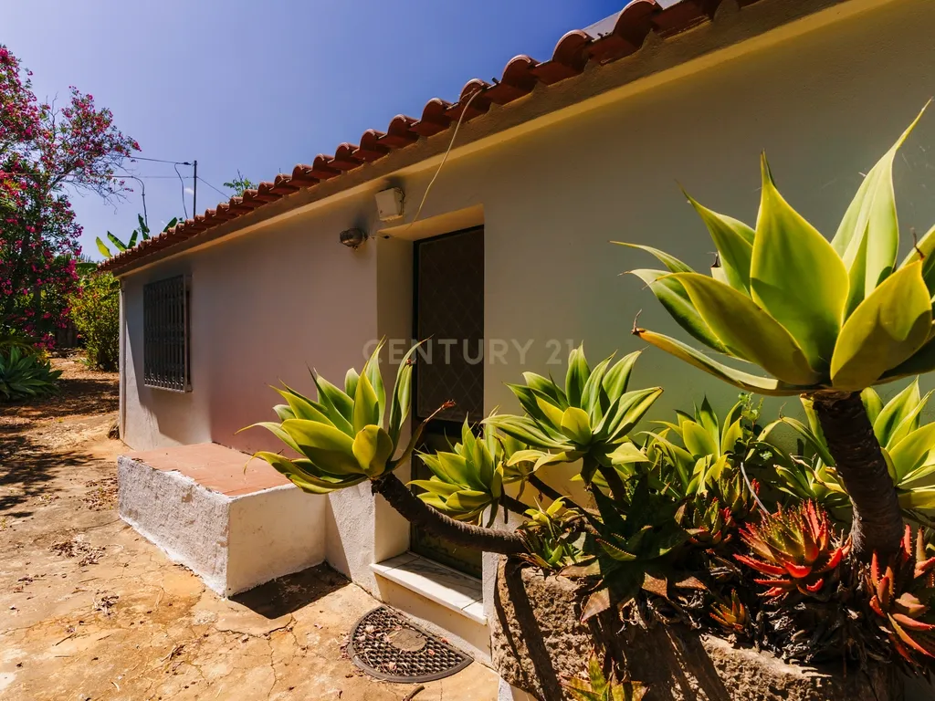 Quinta com 8660 m2 com Moradia, piscina e dois terraços panorâmicos em Silves - Image 25