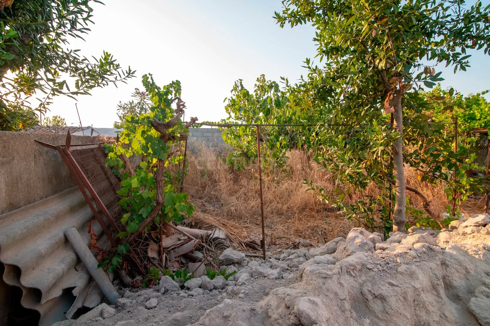 Fotografia 6 de Terreno Urbano com Projeto Aprovado em Pias – Serpa
