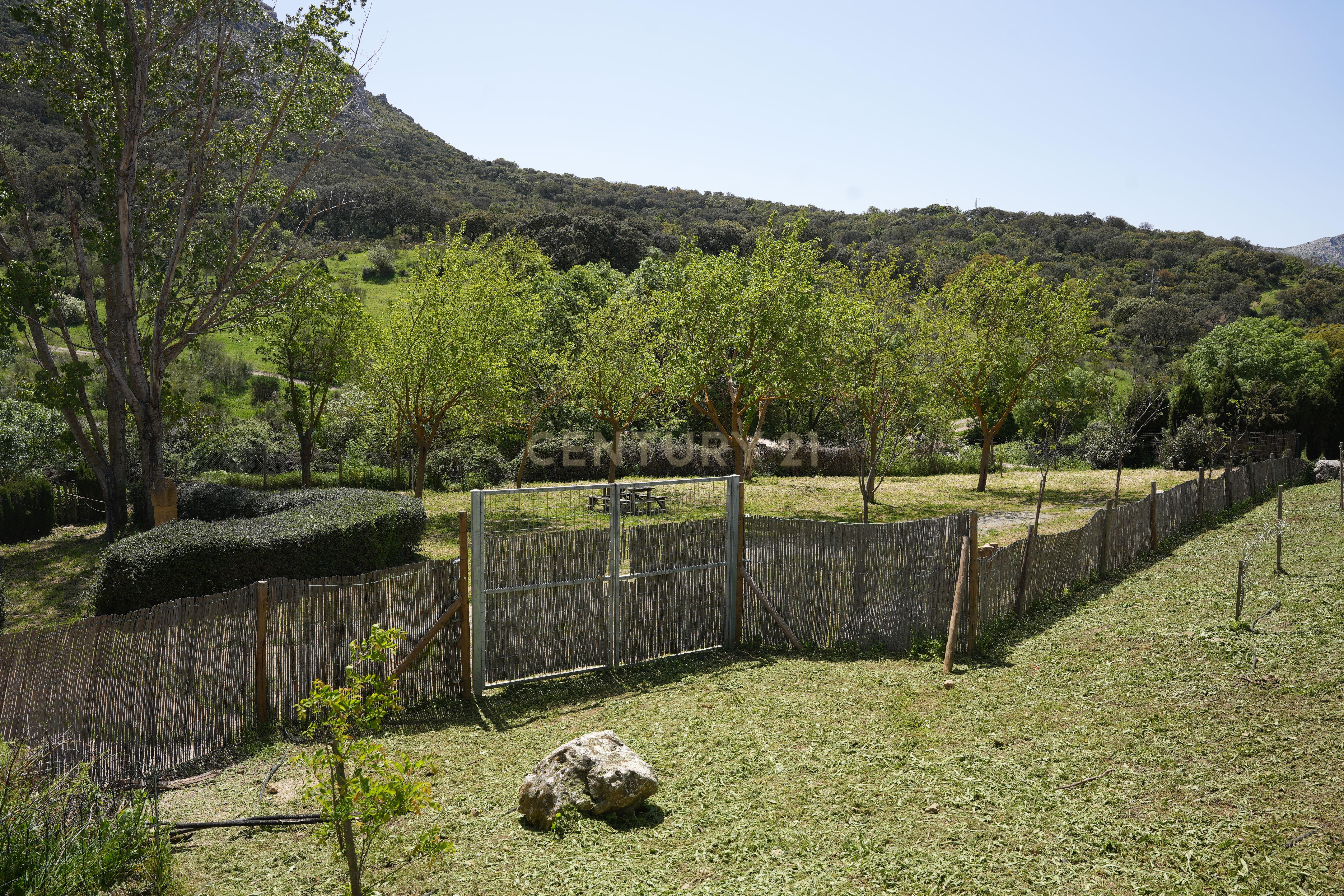 VENDA DE PROPRIEDADE RÚSTICA EM ANTEQUERA COM EXPLORAÇÃO DE AGROTURISMO - Image 59