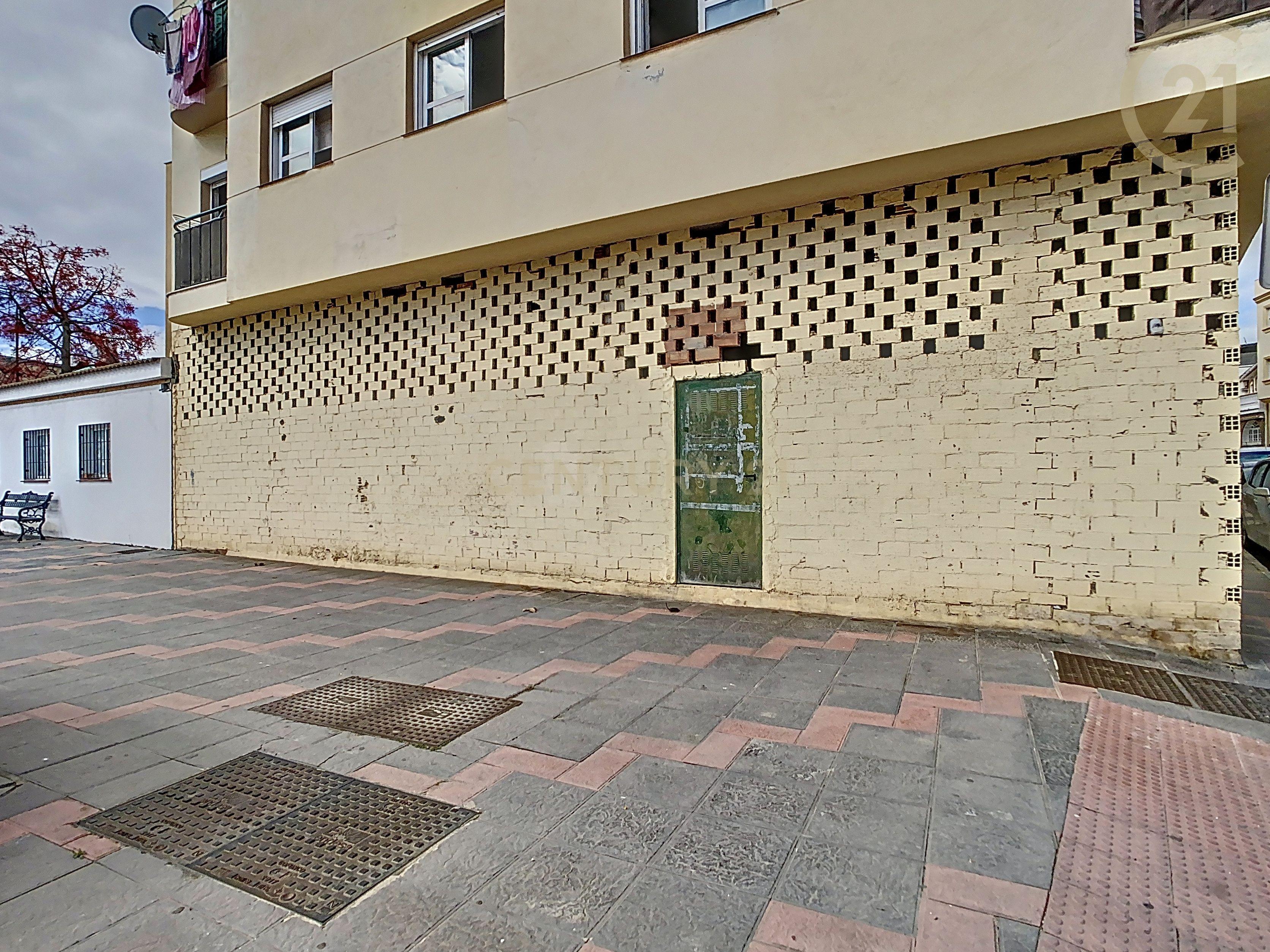 - Image 4