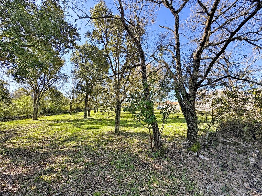 O lugar ideal para construir em plena natureza – Alcobaça - Image 11