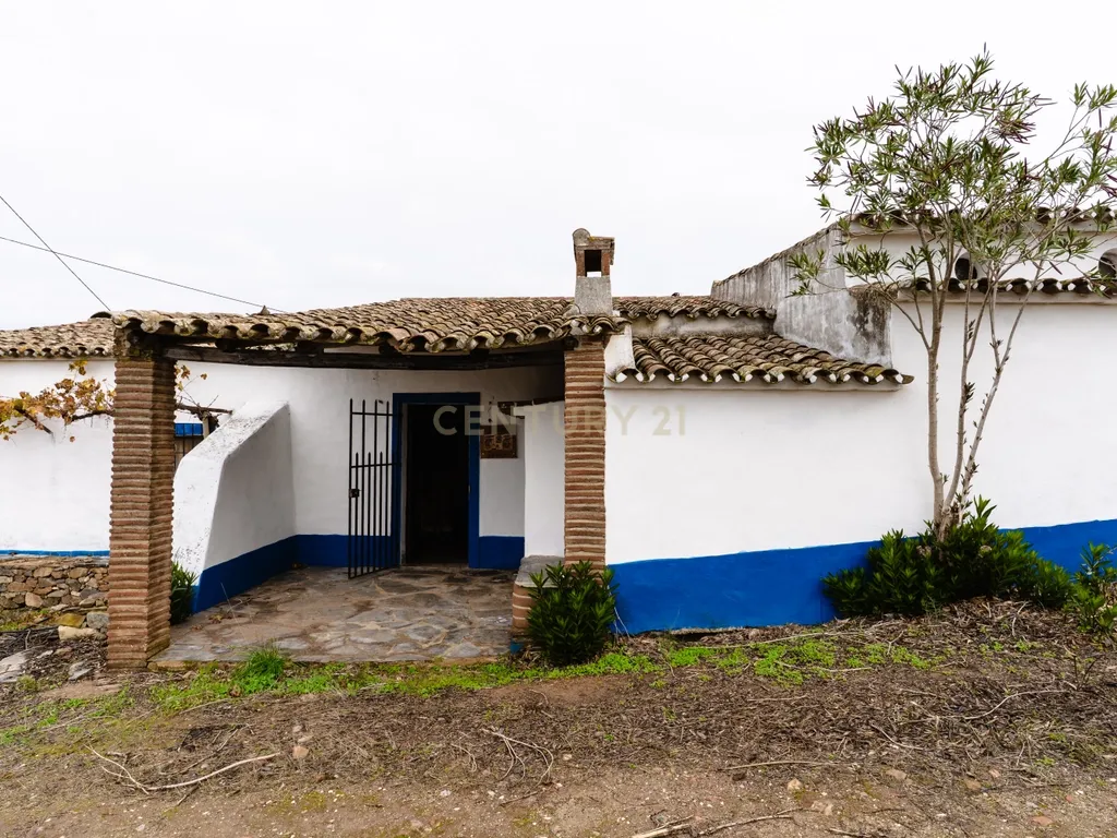 Monte típico 15ha Reguengos Monsaraz "Corval" 5 divisões, piscina e vinha - Image 9