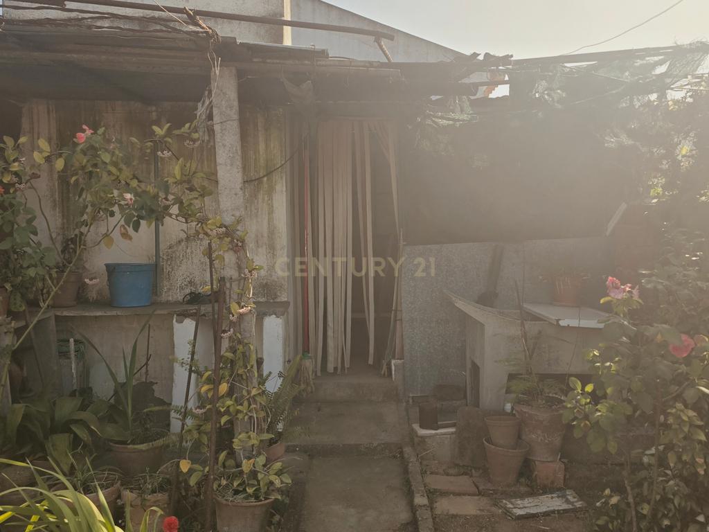 Moradia T1 com Quintal – Alcáçovas - Image 26