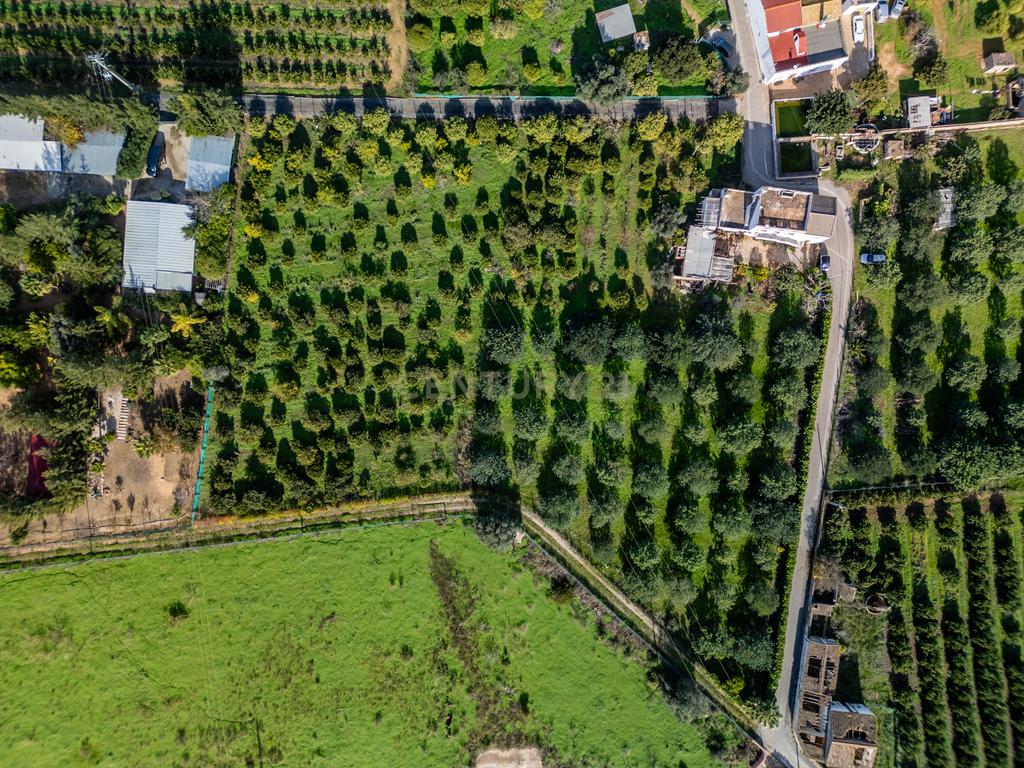 Moradia com Terrenos Rústicos na Horta da Jardina – Bela Salema, Faro - Image 25