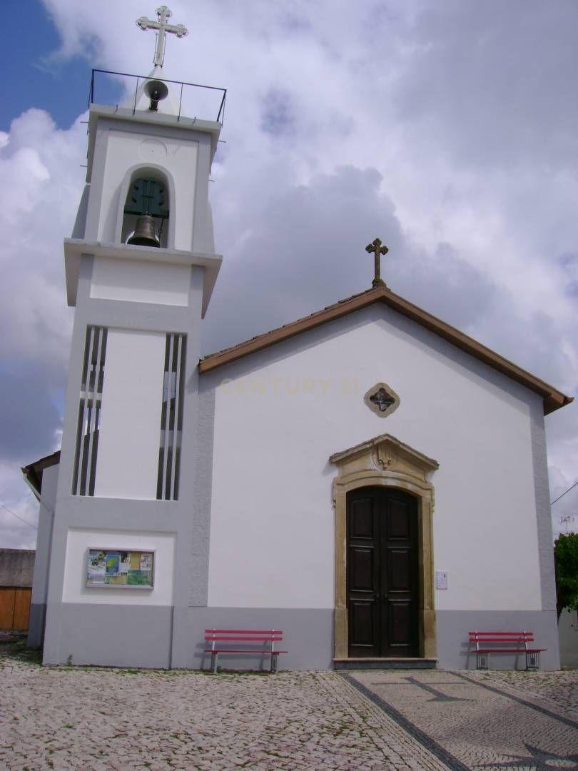 Terreno Rústico em Antanhol, Coimbra – 3.500m² com Árvores de Fruto e Oliveiras - Image 8