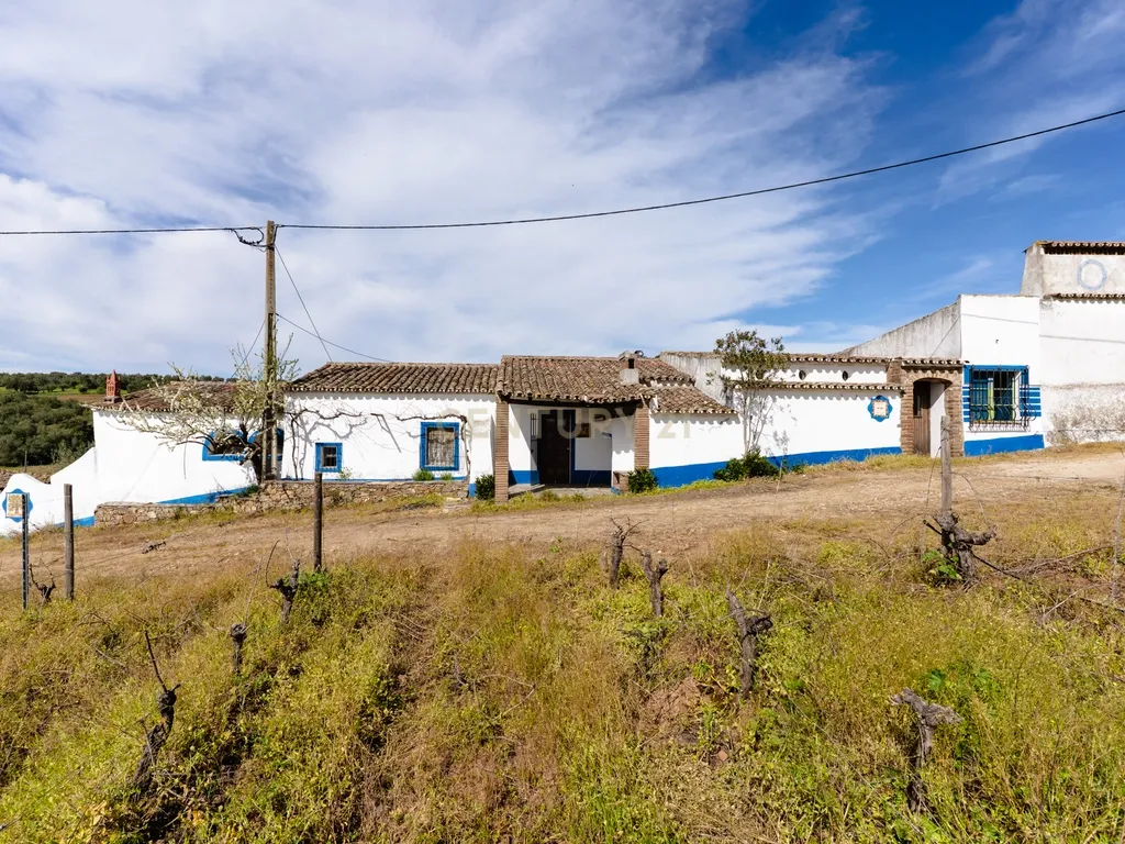 Monte típico 15ha Reguengos Monsaraz "Corval" 5 divisões, piscina e vinha - Image 2
